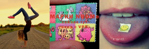 ПСИЛОЦИБИНОВЫЕ ГРИБЫ Абаза