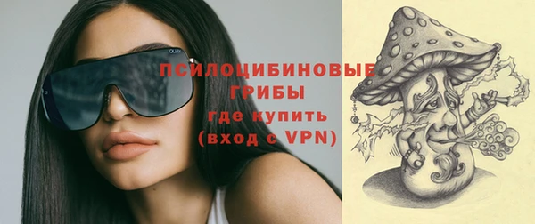 тгк Алексин