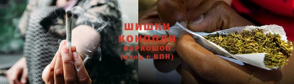 ПСИЛОЦИБИНОВЫЕ ГРИБЫ Абаза
