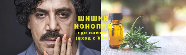 ПСИЛОЦИБИНОВЫЕ ГРИБЫ Абаза