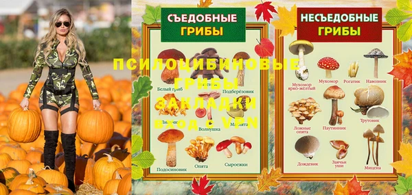 ПСИЛОЦИБИНОВЫЕ ГРИБЫ Абаза