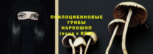 каннабис Алзамай