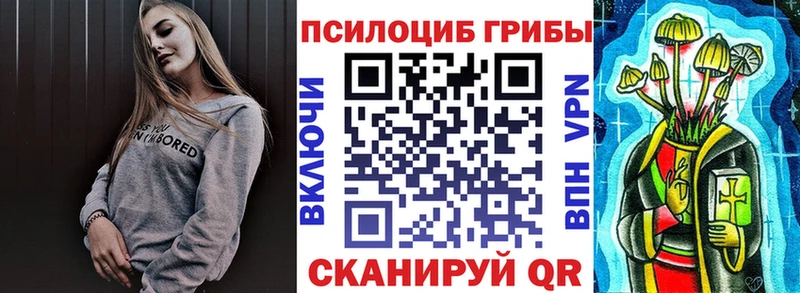 Галлюциногенные грибы Psilocybe  где можно купить наркотик  Сарапул 