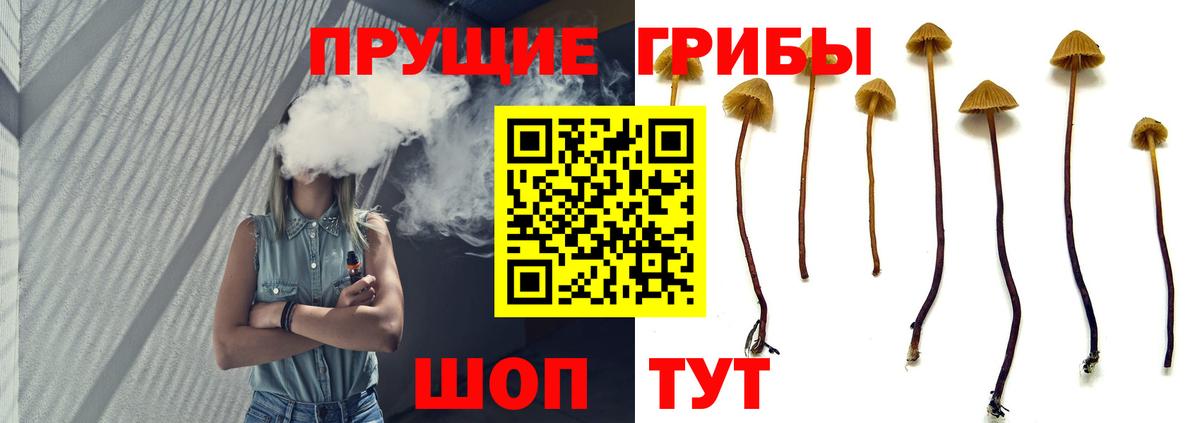 Псилоцибиновые грибы MAGIC MUSHROOMS Сарапул